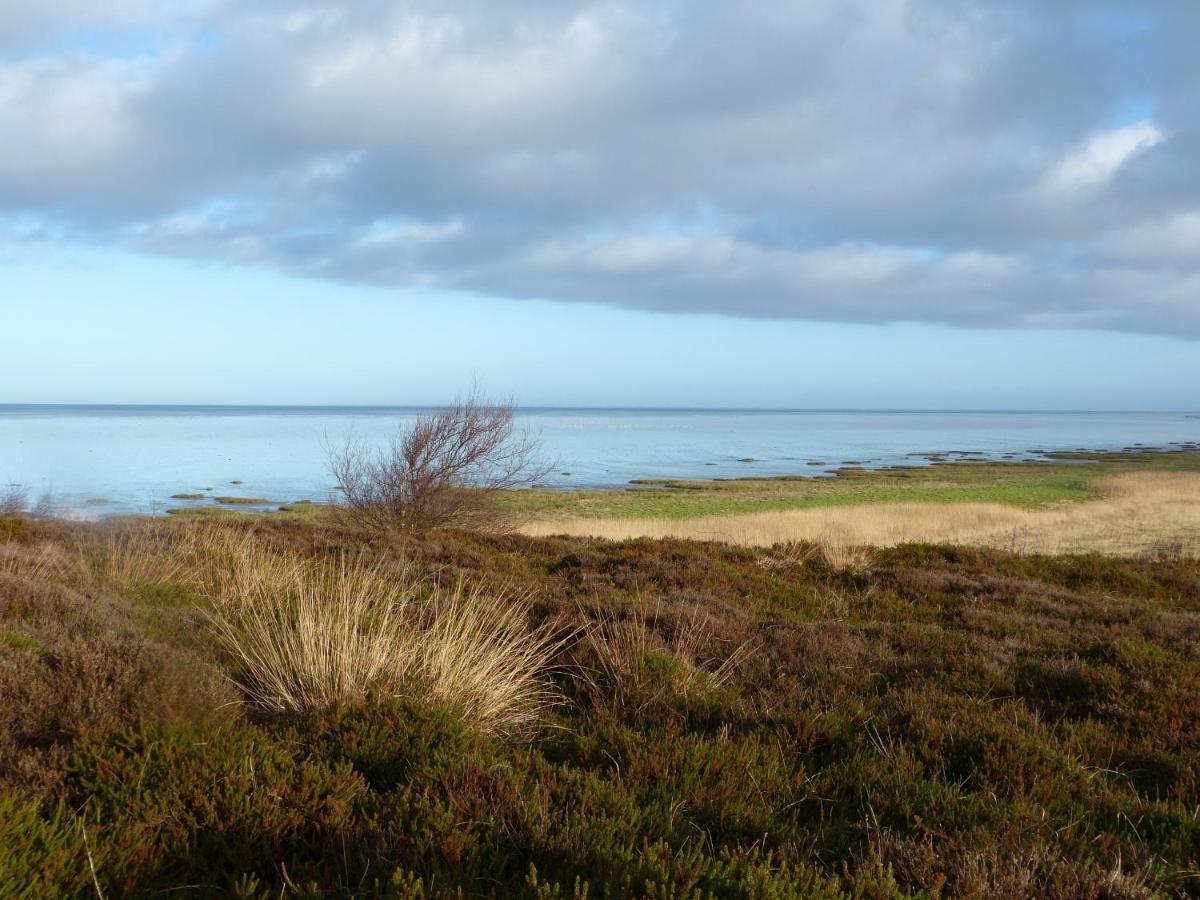 Appartement Kayser Sylt Morsum  Buitenkant foto