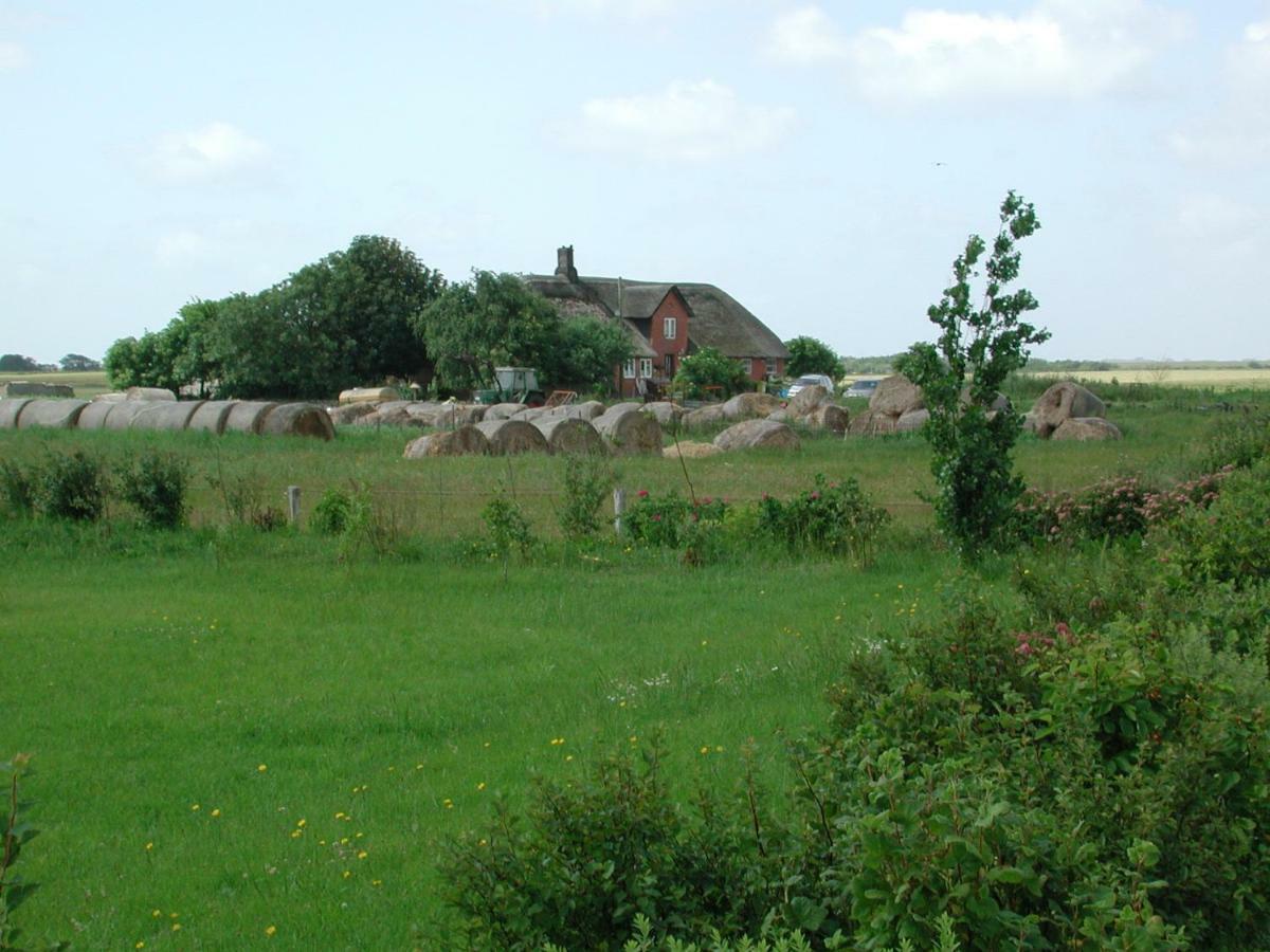Appartement Kayser Sylt Morsum  Buitenkant foto